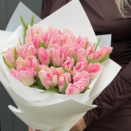 Van Duke Tulip's Bouquet