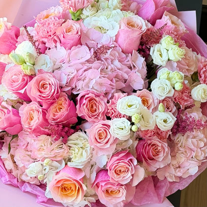 La Belle Rose