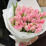 Van Duke Tulip's Bouquet