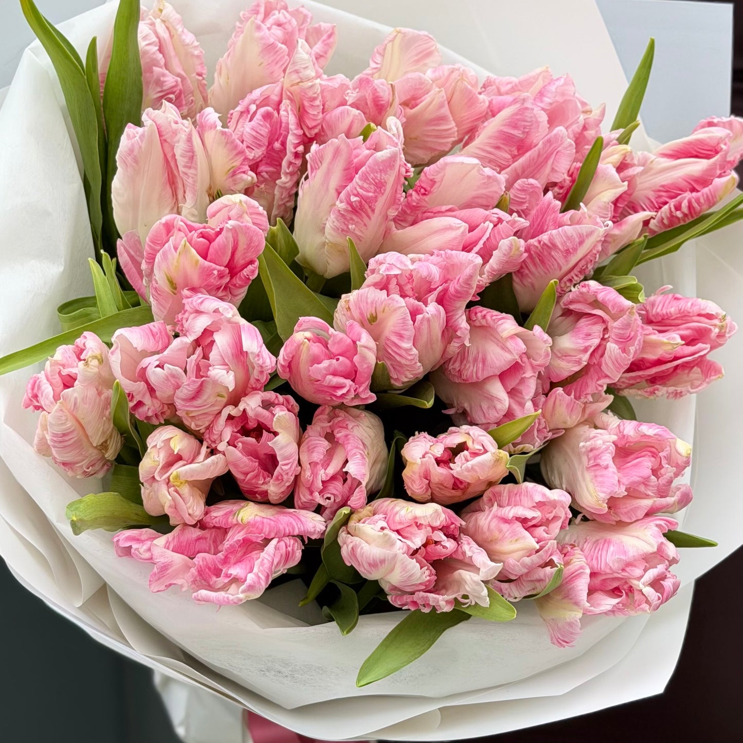 Van Duke Tulip's Bouquet